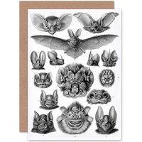 Artery8 Nature Ernst Haeckel Bat Biology Germany Advert Greetings Card in Grey