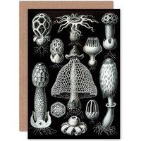 Artery8 Nature Ernst Haeckel Fungus Mushroom Toadstool Biology Greeting Card in Black