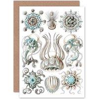 Artery8 Nature Ernst Haeckel Jellyfish Biology Germany Birthday Greetings Card in White