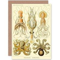 Artery8 Nature Ernst Haeckel Octopus Biology Germany Greetings Card