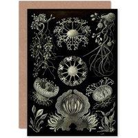 Artery8 Nature Ernst Haeckel Plankton Sea Biology Germany Greetings Card in Black