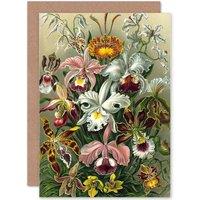 Artery8 Nature Ernst Haeckel Plant Flower Biology Germany Greetings Card