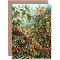 Artery8 Nature Ernst Haeckel Sea Plant Biology Germany Birthday Greetings Card in Green