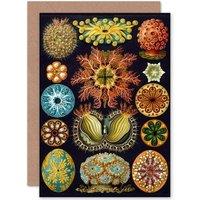 Artery8 Nature Haeckel Ernst Plankton Sea Biology Germany Greetings Card in Black