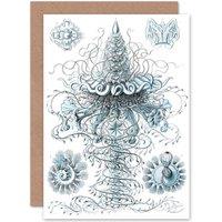 Artery8 Nature Jellyfish Ernst Haeckel Germany Biology Birthday Greetings Card in White