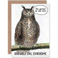 Artery8 Funny Owl Fun Bird Cheeky Greetings Card in Brown