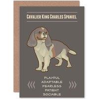 Artery8 Birthday Dog King Charles Spaniel Greetings Card in Grey