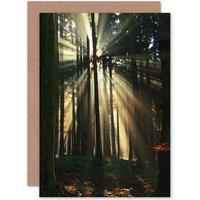 Artery8 Birthday Painting Sunbeam Forest Scene Greetings Card in Black