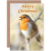 Artery8 Christmas Xmas Robin Red Breast Greetings Card