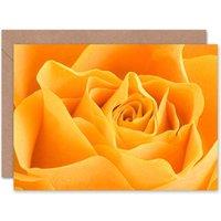 Artery8 Soft Orange Rose Petals Art Blank Just to Say Card