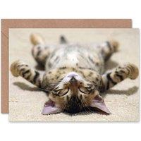 Artery8 Cat Lover Cute Kitten Lying Supine Sleeping Pet Animal Card