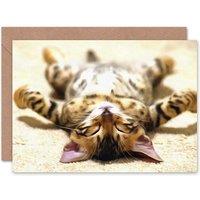 Artery8 Photo Supine Kitten Stretched Out Cute Art Card