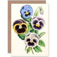 Artery8 Garden Flowers Andrews Pansies Fancy Greetings Card