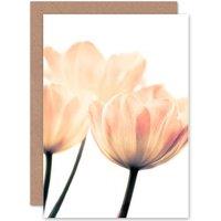 Artery8 Pretty Pink Flower Petals Greetings Card