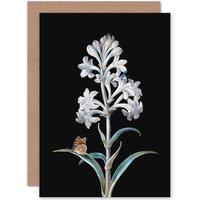 Artery8 Painting Nature Study Dietzsch White Hyacinth Insects Greetings Card in Black
