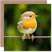 Artery8 Xmas Merry Red Breast Robin Cute Christmas Card