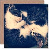Artery8 Two Sleeping Kittens Yin Yang Cute Art Card