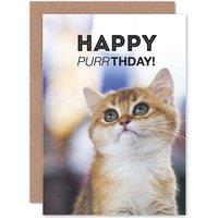 Artery8 Birthday Happy Cat Kitten Kitty Purr Design Greetings Card