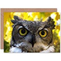 Artery8 Animal Serious Face Owl Birthday Card