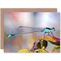 Artery8 Animal Insect Dragonfly Birthday Card