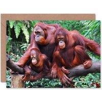 Artery8 Orangutan Ape Family on Jungle Tree Cute Animal Photo Card