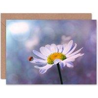 Artery8 Ladybug Ladybird Beetle on Daisy Flower Close Up Photo Card