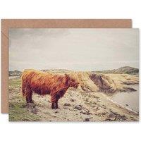 Artery8 Scottish Photo Highland Cow Isle Harris Birthday Card