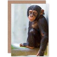 Artery8 Birthday Animal Photo Monkey Cute Baby Chimp Greetings Card
