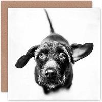 Artery8 Animal Cute Puppy Black White Dog Birthday Card