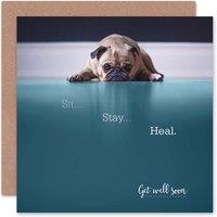 Wee Blue Coo Sit Stay Heal Cute Dog Get Well Card