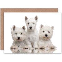 Artery8 Dog Lover Cute West Highland Westie Puppies Animal Photo Card