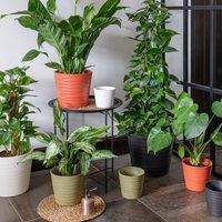 Ivyline Oslo Cotton Taper Planter - H27cm D32cm | 4 Colours & 2 Sizes Available Online | Ceramic | Made in Europe in Cream