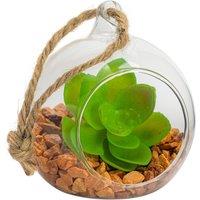 Nicola Spring Hanging Glass Terrarium - 8cm - Clear