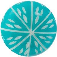 Nicola Spring Resin Cabinet Knob in Turquoise | Size: 1000mm x 500mm
