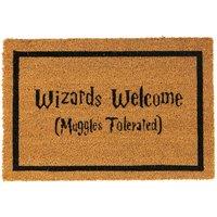 Nicola Spring Halloween Coir Door Mat - 60 x 40cm - Wizards Welcome in Brown | Size: 40 cm x 60 cm