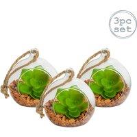 Nicola Spring Hanging Glass Terrariums - 8cm - Clear