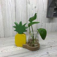 KDMD Hydroponic Home Decor - Pineapple Pot in Grey