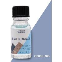 KDMD 10ml Sea Breeze Fragrance Oil in Blue