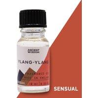 KDMD 10ml Ylang-Ylang Fragrance Oil in Orange