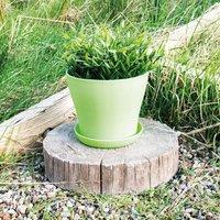 mysmartbuy Plastic Plant Pot - Weatherproof Colourful Home or Garden Planter with Drainage Holes & Saucer in Green | Size: Medium