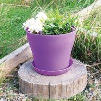 mysmartbuy Plastic Plant Pot - Weatherproof Colourful Home or Garden Planter with Drainage Holes & Saucer in Purple | Size: Large