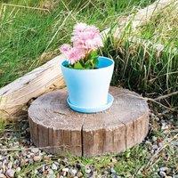 mysmartbuy Plastic Plant Pot - Weatherproof Colourful Home or Garden Planter with Drainage Holes & Saucer in Blue | Size: Large