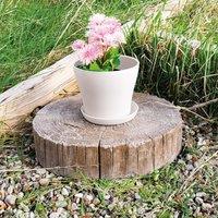 mysmartbuy Plastic Plant Pot - Weatherproof Colourful Home or Garden Planter with Drainage Holes & Saucer in White | Size: Large
