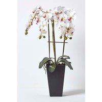 Homescapes Artificial Flowers White Orchid in a Black Pot, 70 cm