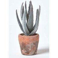 Homescapes Aloe Vera Artificial Succulent in Decorative Rustic Terracotta Pot in Green