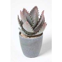 Homescapes Purple & Green Aloe Vera Artificial Succulent in Grey Pot