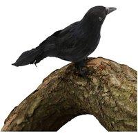 I Love Fancy Dress Halloween Black Crow Decoration