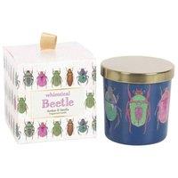 KDMD Blue Beetle Candle