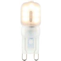 Loops 2.5W LED G9 Light Bulb Frosted Warm White 3000K 200 Lumen Mini Small Indoor Lamp