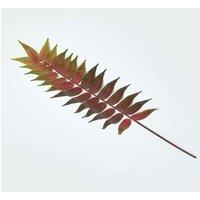 Homescapes Fern Leaf Foliage 72 cm in Green